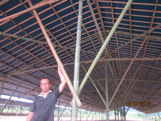 不知以后会有污染吗？加会的鸭场要转移在白燕村基地养殖了！448 / 作者:十滴水 / 帖子ID:22144