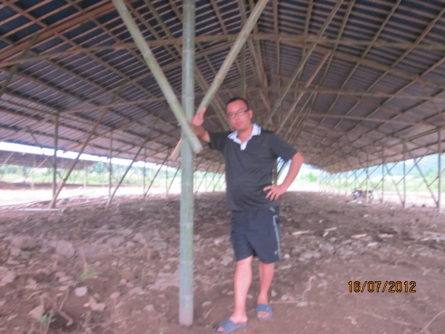 不知以后会有污染吗？加会的鸭场要转移在白燕村基地养殖了！866 / 作者:十滴水 / 帖子ID:22144