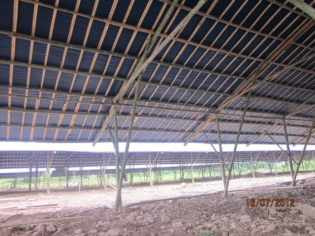 不知以后会有污染吗？加会的鸭场要转移在白燕村基地养殖了！166 / 作者:十滴水 / 帖子ID:22144