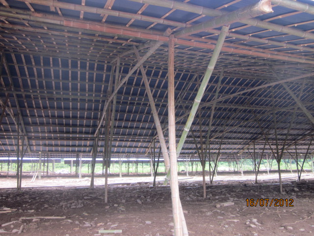 不知以后会有污染吗？加会的鸭场要转移在白燕村基地养殖了！712 / 作者:十滴水 / 帖子ID:22144