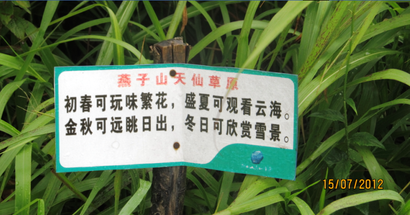 燕子山、天仙草原，那个集体S身的狂乱之夜932 / 作者:小桥流水 / 帖子ID:22146
