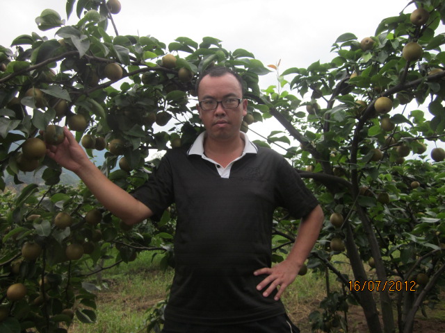 这相有-------“梨”----了！765 / 作者:十滴水 / 帖子ID:22299