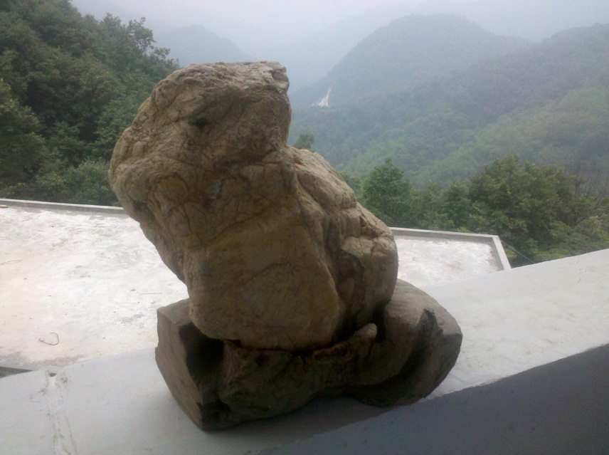 两块象形石742 / 作者:千里之外 / 帖子ID:22310