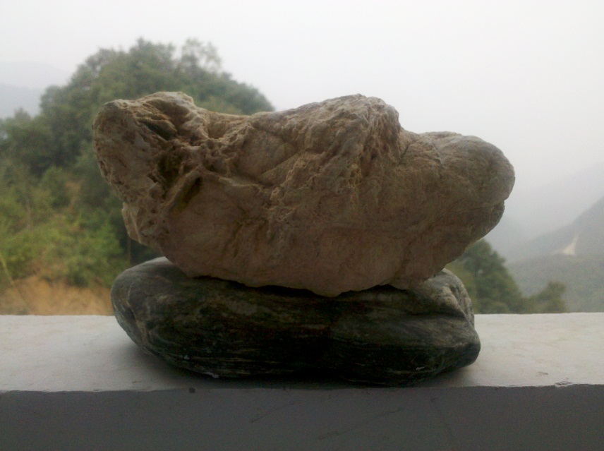 两块象形石573 / 作者:千里之外 / 帖子ID:22310