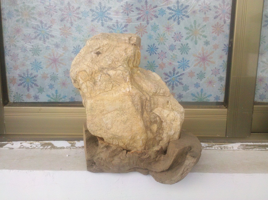 两块象形石226 / 作者:千里之外 / 帖子ID:22310