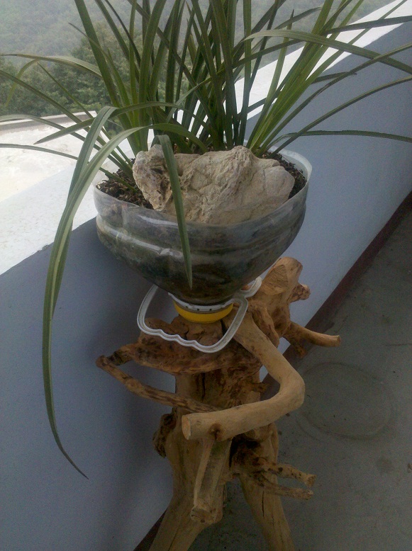 两块象形石980 / 作者:千里之外 / 帖子ID:22310