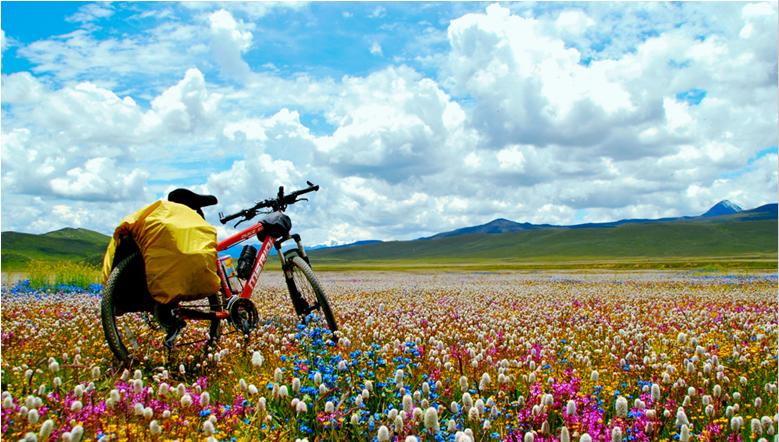 ゛五色花海、开在天际边....307 / 作者:小丹丹 / 帖子ID:22314