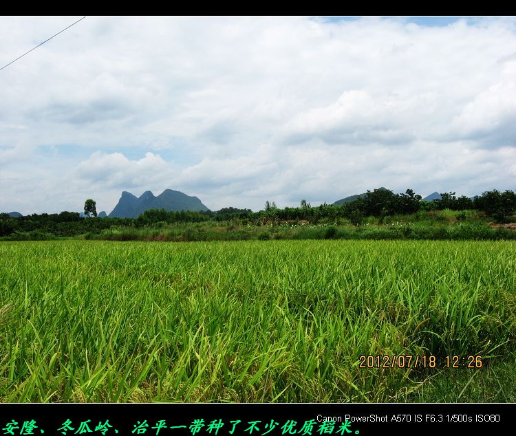 重返两年前去过的冬瓜岭及沿途风景。814 / 作者:平安大叔 / 帖子ID:22315