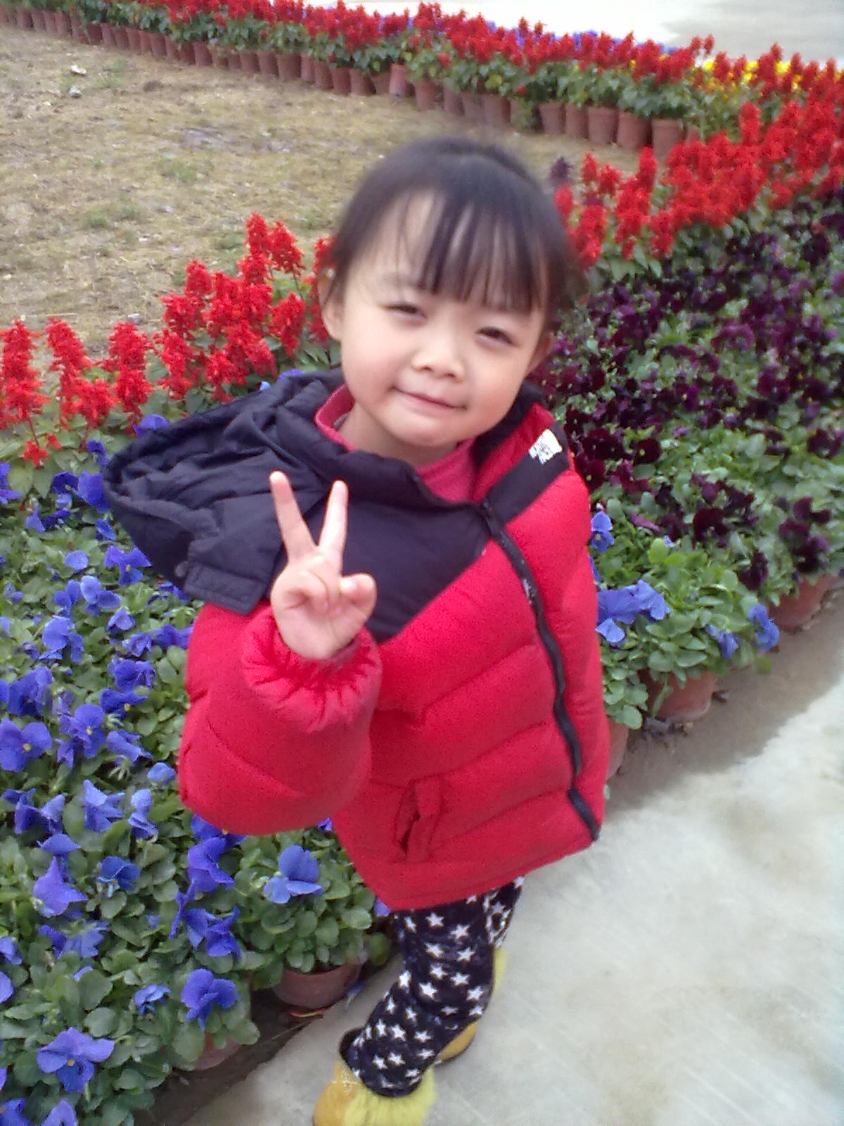 我家小可爱55 / 作者:595245959 / 帖子ID:22666