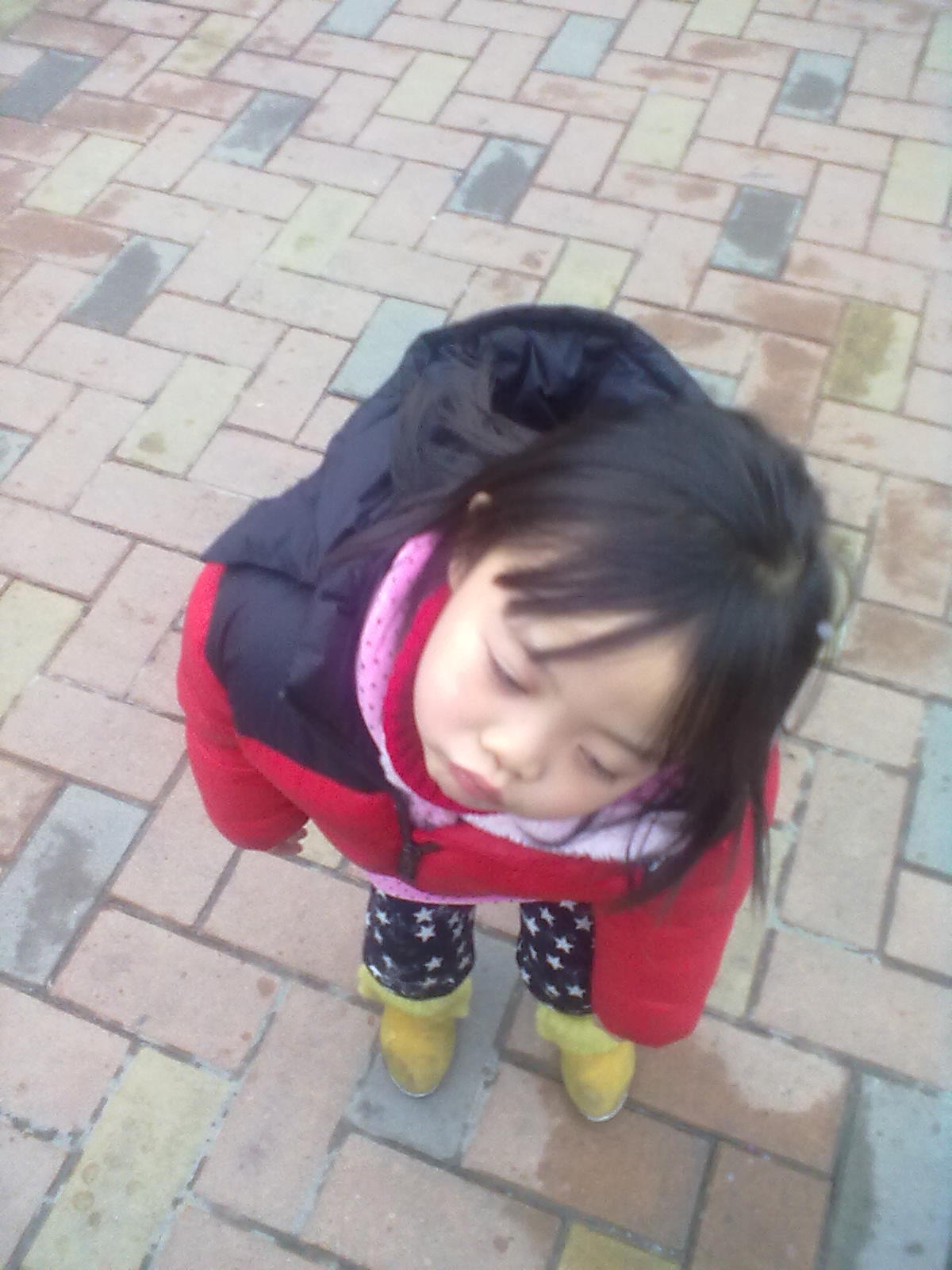 我家小可爱649 / 作者:595245959 / 帖子ID:22666