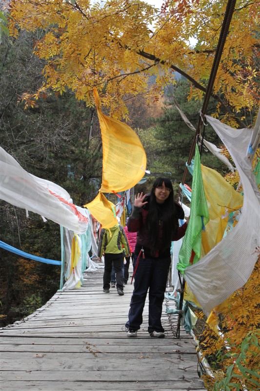 十月五彩斑斓金秋时-带你走进四川最美环线-（只限一期 活动已成行 ）118 / 作者:怪兽。 / 帖子ID:22768