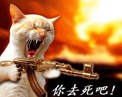 油茶和520的比较，客观评价一下864 / 作者:平安大叔 / 帖子ID:8419
