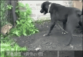 主人，拖了地板倒是和我说一声啊58 / 作者:萝卜酸送粥 / 帖子ID:23387