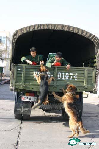 八一，来临之际向那些现在的曾经的军人，致以最崇高的敬意715 / 作者:bps55555 / 帖子ID:23394