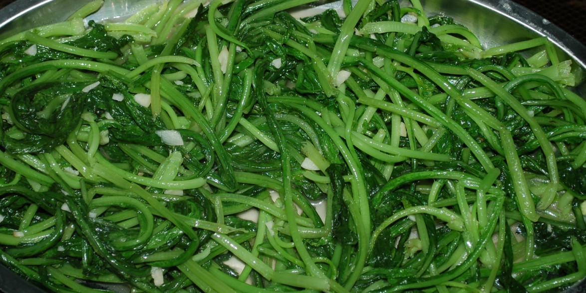 美食群美女厨房！！美女加美食 嘿嘿 ！！326 / 作者:星想事成 / 帖子ID:23459