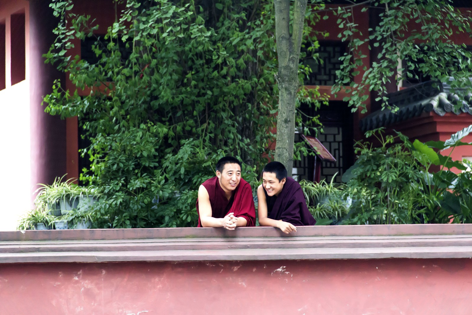 喇嘛哥出来旅游了496 / 作者:肥仔哥 / 帖子ID:23467