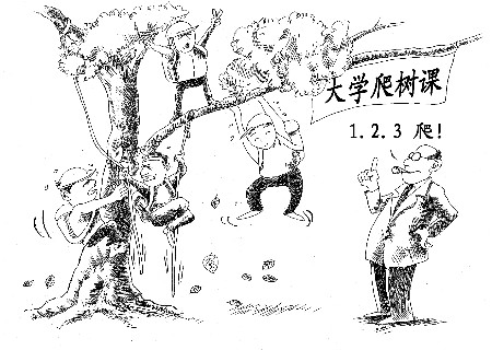 鉴于北京降暴雨、厦门将开“爬树课”。123 / 作者:平安大叔 / 帖子ID:23486