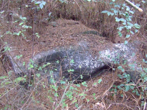 谁的错？？？538 / 作者:恭城蚂蜂 / 帖子ID:23930