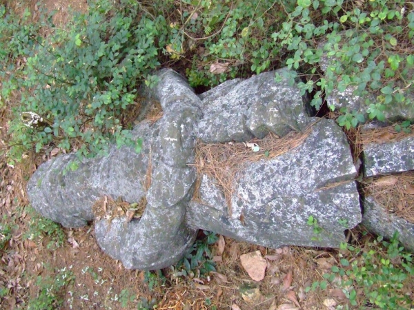 谁的错？？？908 / 作者:恭城蚂蜂 / 帖子ID:23930