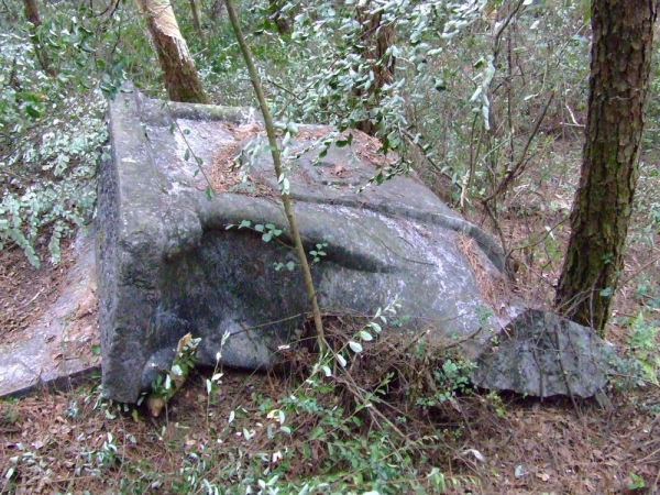 谁的错？？？762 / 作者:恭城蚂蜂 / 帖子ID:23930