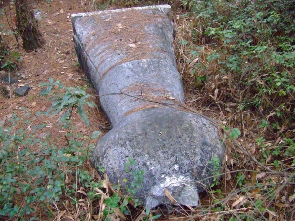 谁的错？？？518 / 作者:恭城蚂蜂 / 帖子ID:23930