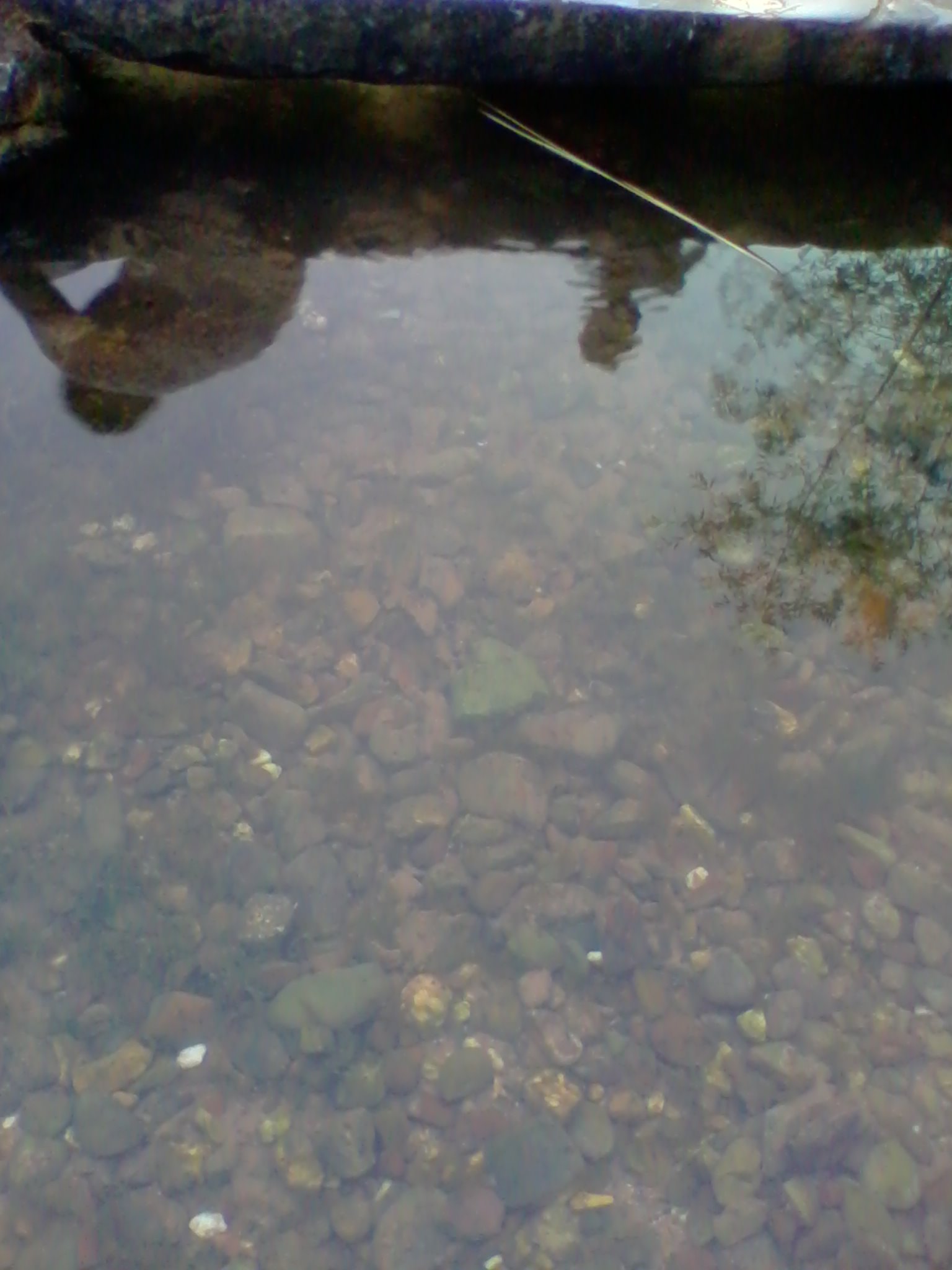 嘎冷，看到这样的水就想379 / 作者:不需要人懂 / 帖子ID:23938