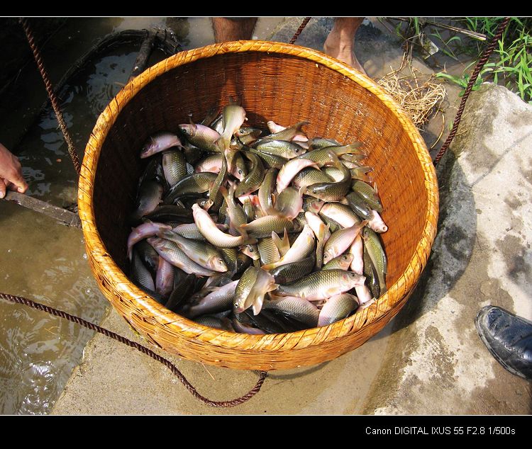 中俄就渔业合作达成共识271 / 作者:平安大叔 / 帖子ID:23943