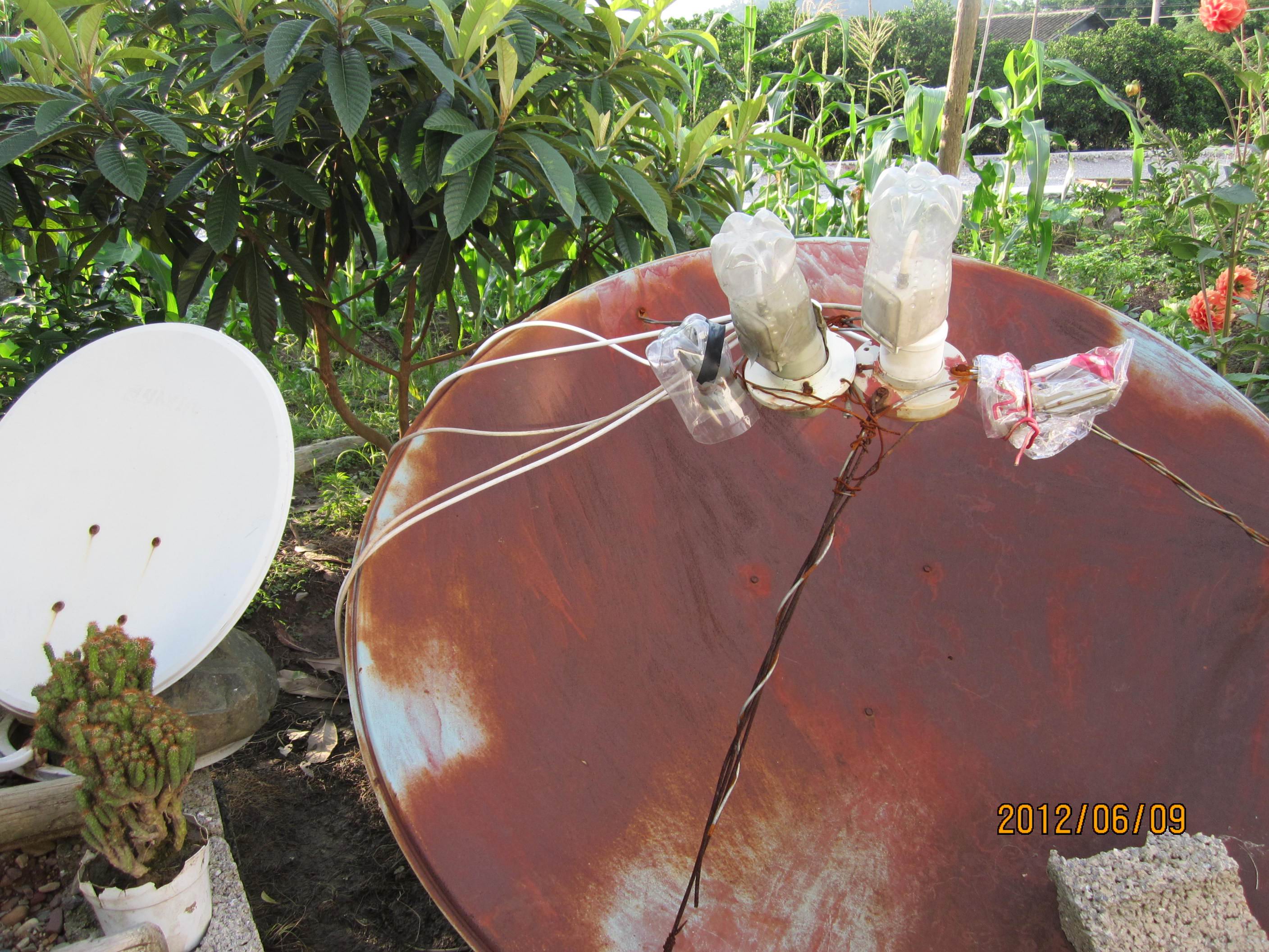 看比赛看到关键时候，突然··· ···313 / 作者:桂鱼 / 帖子ID:24100