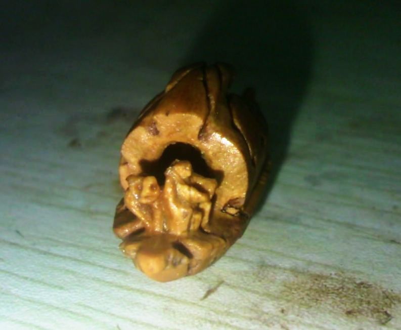 呵呵，又来献丑了668 / 作者:排散 / 帖子ID:24611