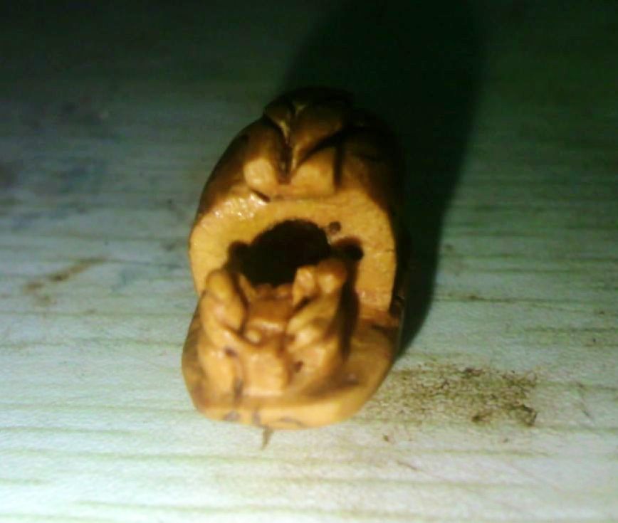 呵呵，又来献丑了294 / 作者:排散 / 帖子ID:24611