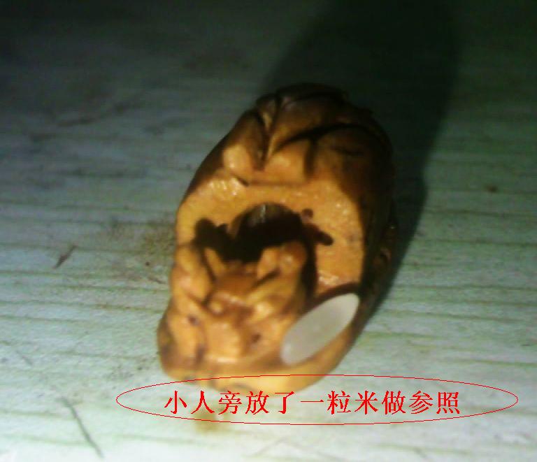 呵呵，又来献丑了540 / 作者:排散 / 帖子ID:24611