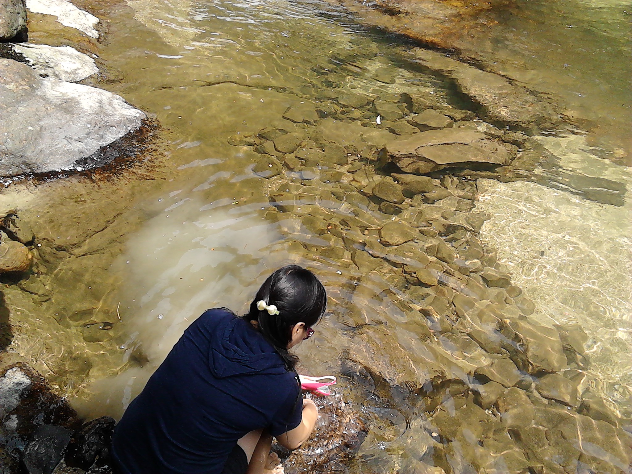 新人发帖----好多发不上639 / 作者:云为爱生 / 帖子ID:24648