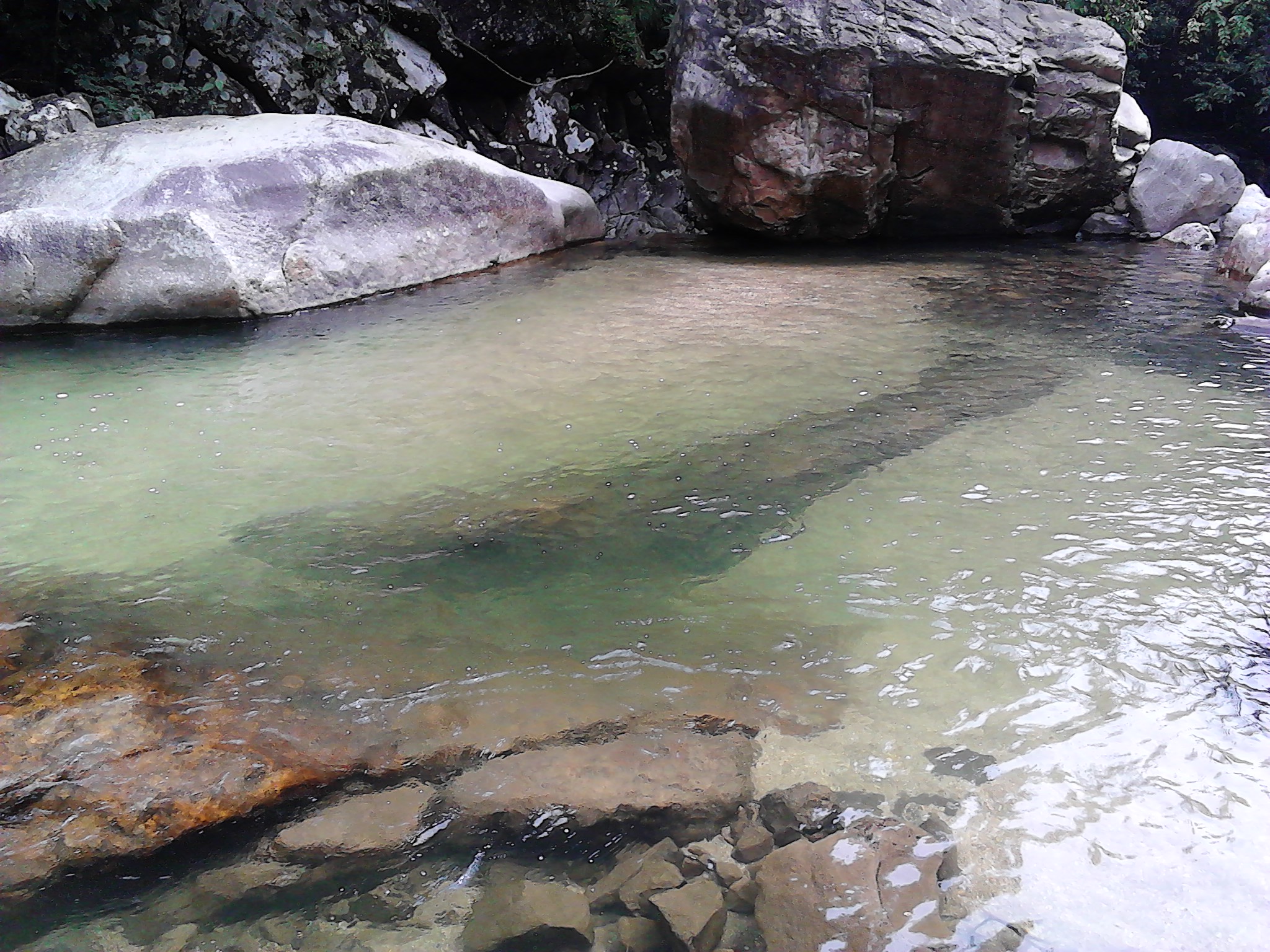 新人发帖----好多发不上865 / 作者:云为爱生 / 帖子ID:24648