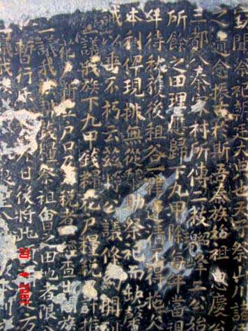 谁的错？？？491 / 作者:恭城蚂蜂 / 帖子ID:23930