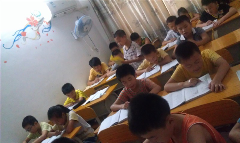 金牌新概念英语招牌专职教师260 / 作者:Ivy尹 / 帖子ID:24708