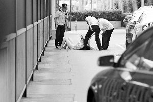 央视台大门外车顶竟有“美女晒羞”409 / 作者:平安大叔 / 帖子ID:24712