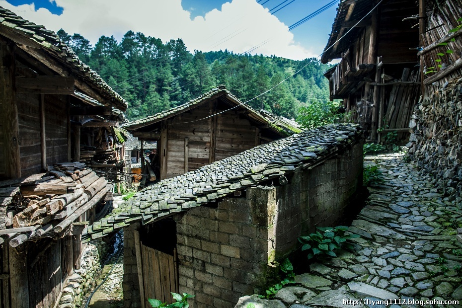 西江月 山水情292 / 作者:十滴水 / 帖子ID:24752