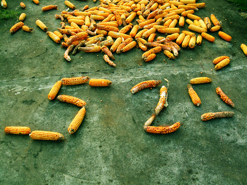 快七夕了喔，单身的你准备好了吗？181 / 作者:小紫 / 帖子ID:24764