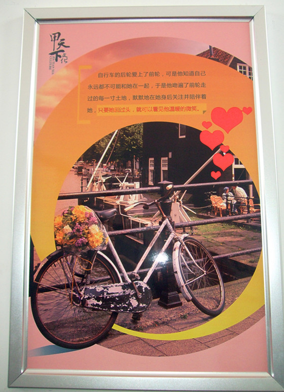 甲天下文化70 / 作者:小紫 / 帖子ID:26156