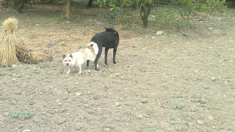 --------它们到底在干嘛？？236 / 作者:十滴水 / 帖子ID:26944