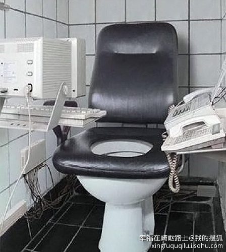 扬州现“仿古”式五星级厕所266 / 作者:十滴水 / 帖子ID:26948