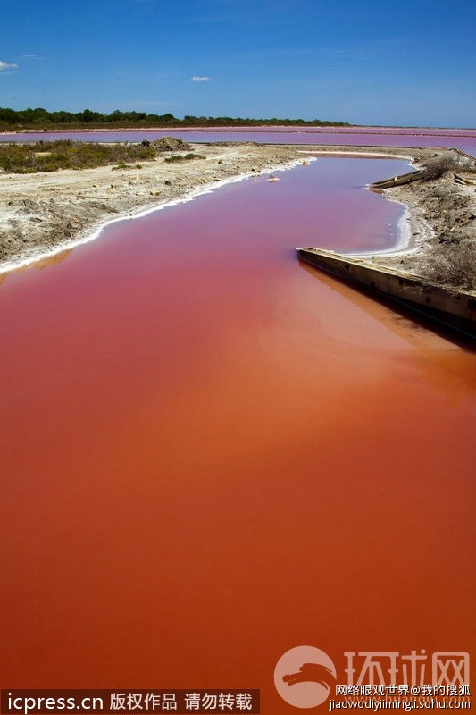 法国惊现“血水”湖令人不寒而栗935 / 作者:十滴水 / 帖子ID:26952