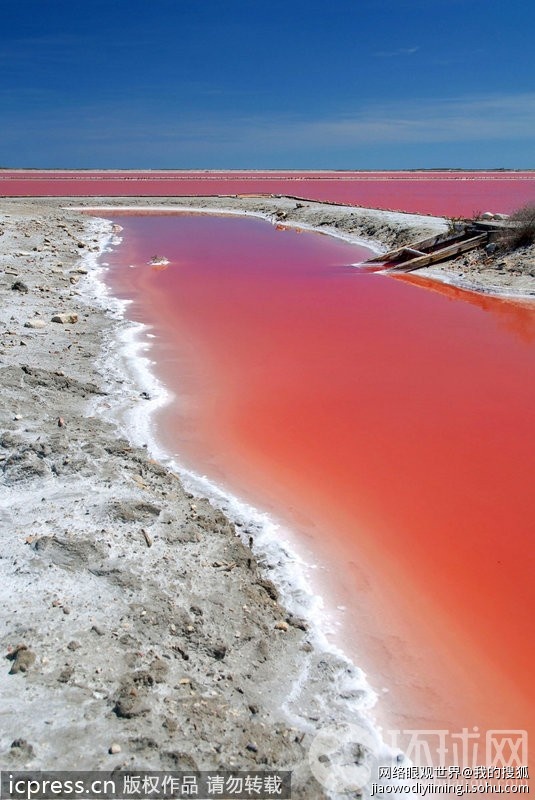 法国惊现“血水”湖令人不寒而栗905 / 作者:十滴水 / 帖子ID:26952