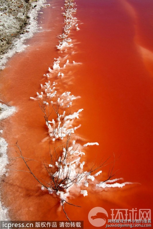 法国惊现“血水”湖令人不寒而栗557 / 作者:十滴水 / 帖子ID:26952