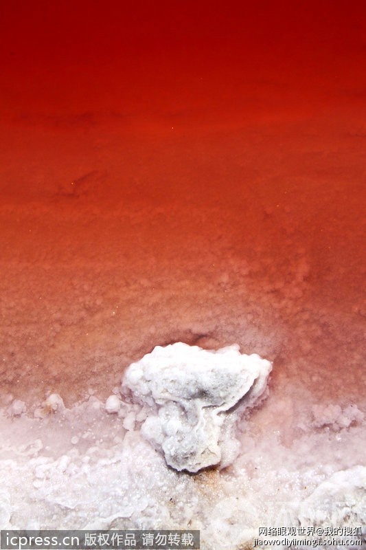 法国惊现“血水”湖令人不寒而栗297 / 作者:十滴水 / 帖子ID:26952