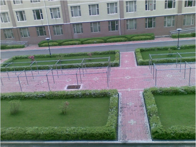 宿舍外面的冬夏区别187 / 作者:马路桥~八区 / 帖子ID:26986