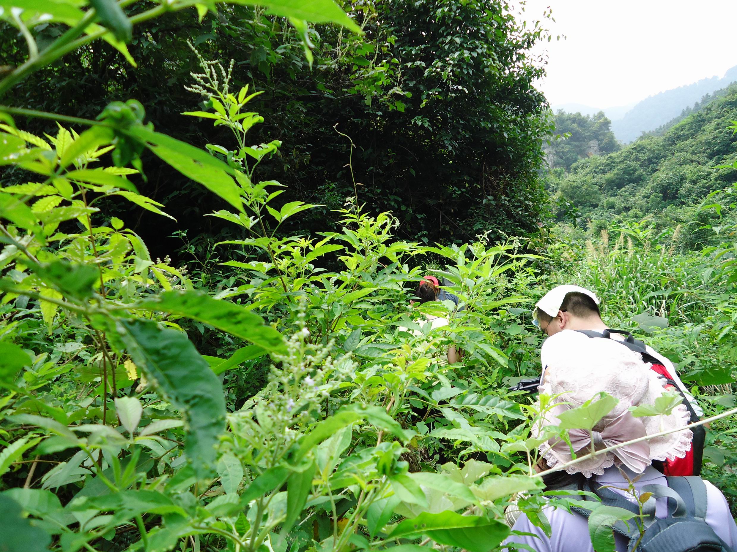 茶江户外出游观音水滨部分PP470 / 作者:福民侠 / 帖子ID:26989