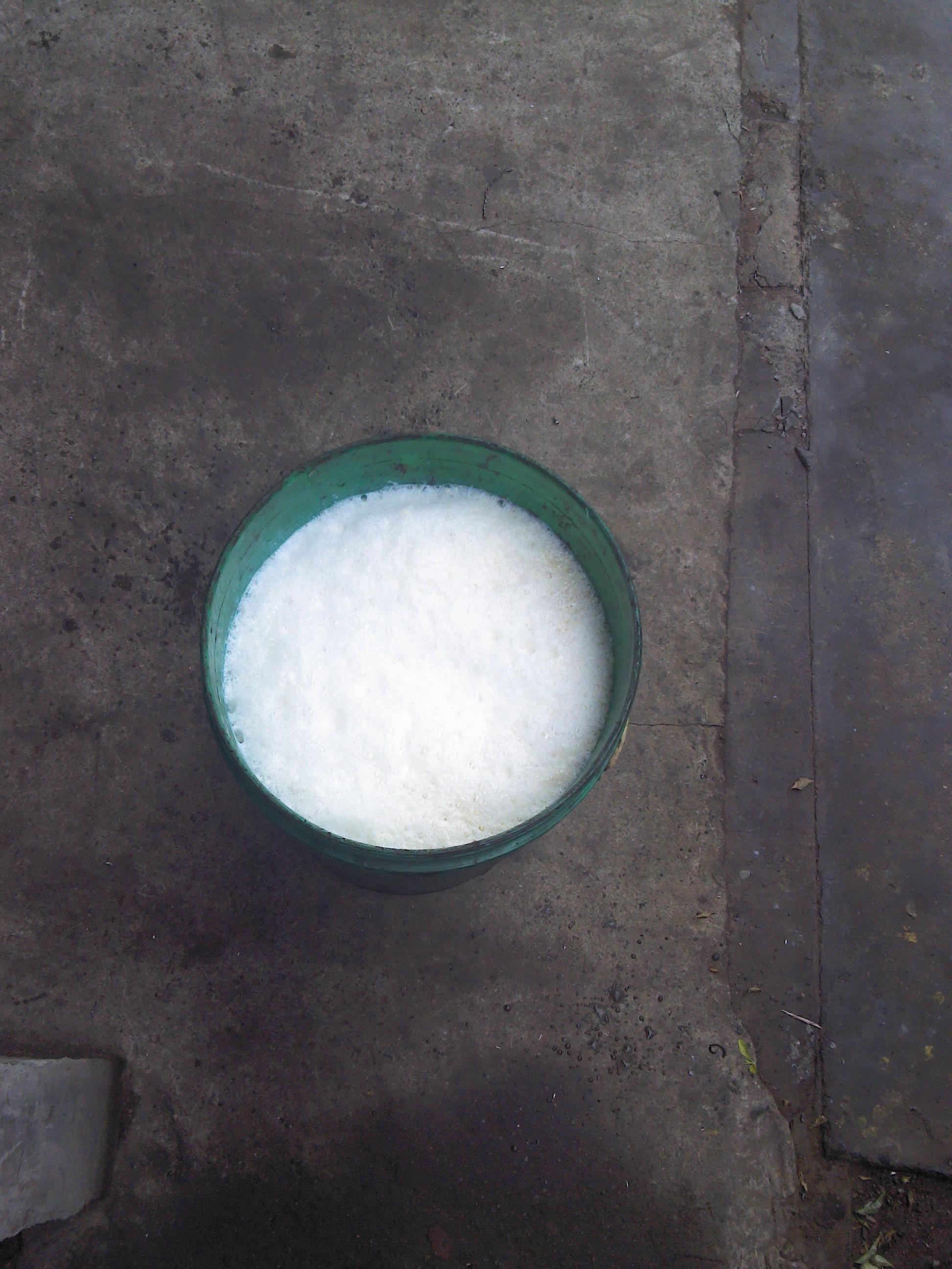 听讲 “牛奶”还可以这样做出来627 / 作者:放牛娃崽 / 帖子ID:29014