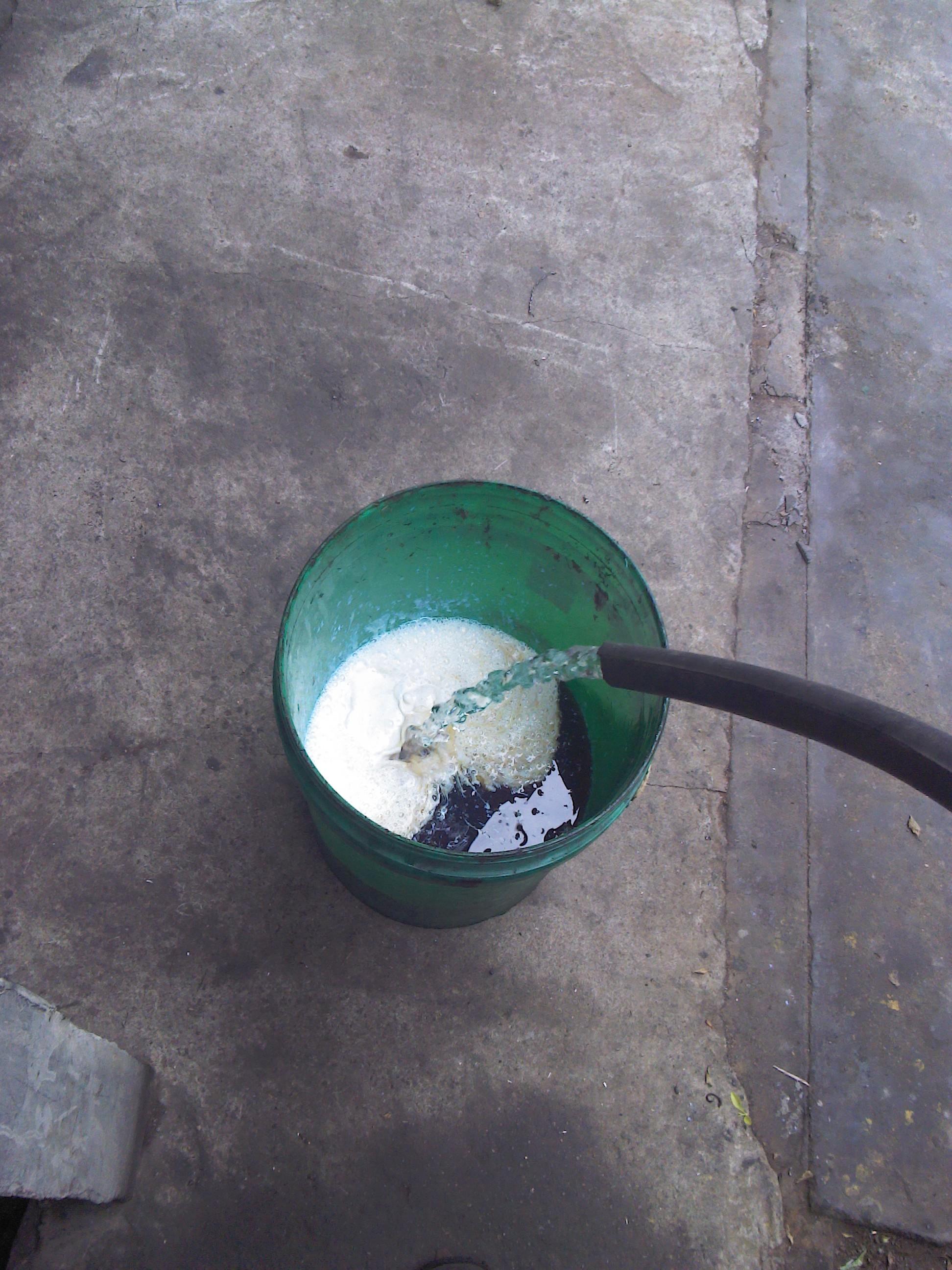 听讲 “牛奶”还可以这样做出来273 / 作者:放牛娃崽 / 帖子ID:29014