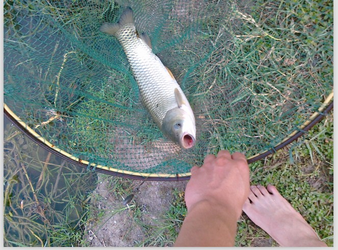 嗮嗮今天的战绩··哈哈659 / 作者:小勇 / 帖子ID:35569